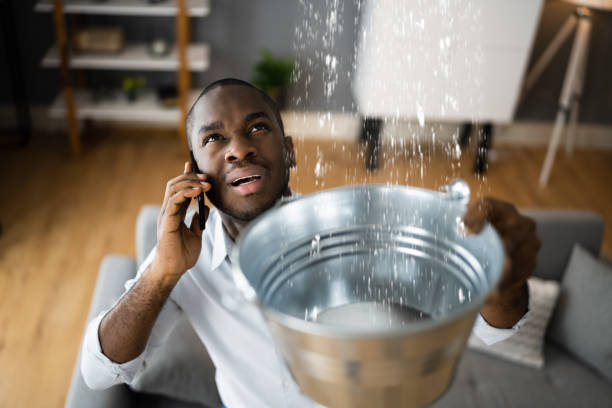 Best Mold removal after water damage  in Friars Point, MS