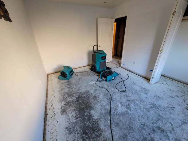 Best Local water damage restoration  in Friars Point, MS