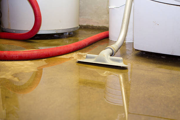 Best 24-hour water damage restoration  in Friars Point, MS
