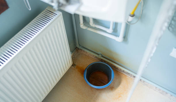 Best Professional water damage repair  in Friars Point, MS