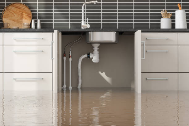 Best Carpet water damage restoration  in Friars Point, MS