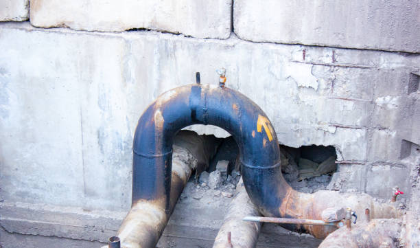Best 24/7 water damage repair  in Friars Point, MS