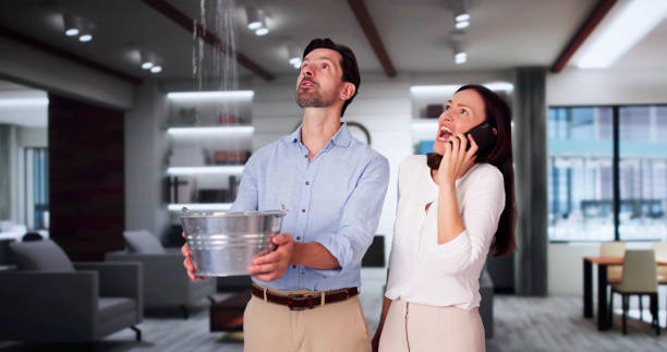 Best Residential water damage restoration  in Friars Point, MS