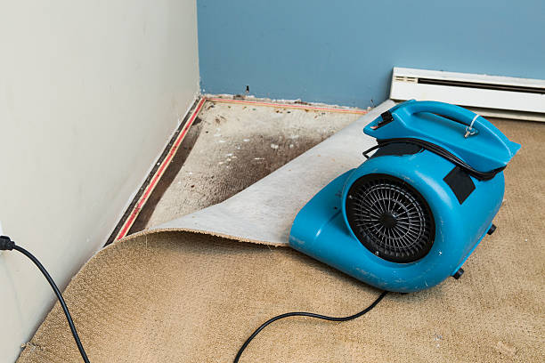 Water damage restoration process in Friars Point, MS